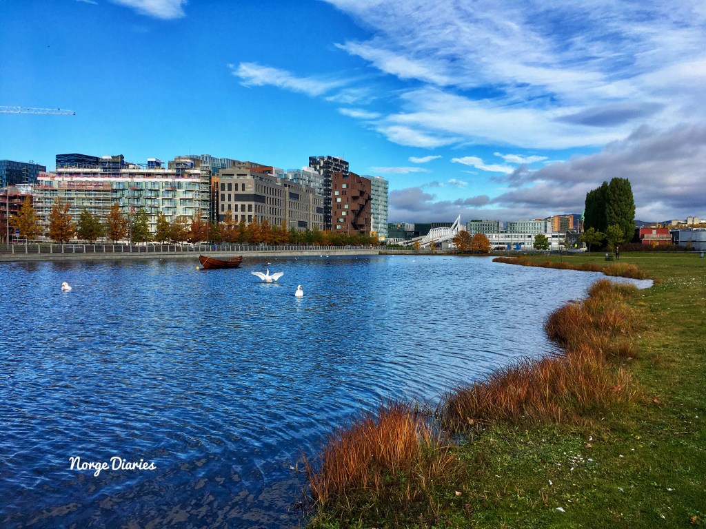 This image has an empty alt attribute; its file name is fullsizere1nder.jpg