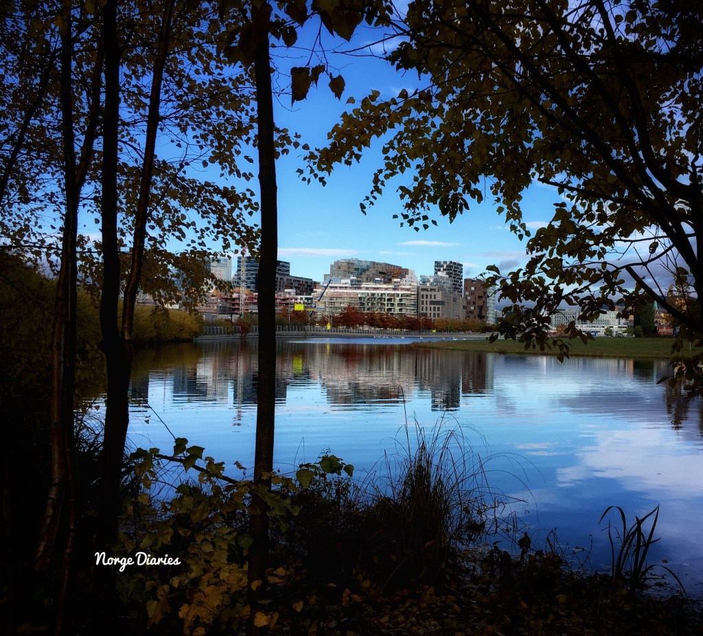 This image has an empty alt attribute; its file name is fullsizerender-11.jpg