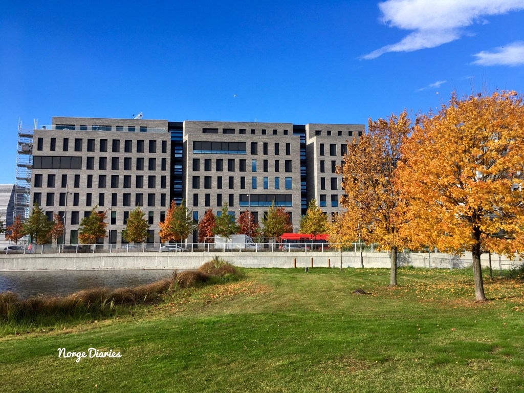 This image has an empty alt attribute; its file name is fullsizerender-9.jpg